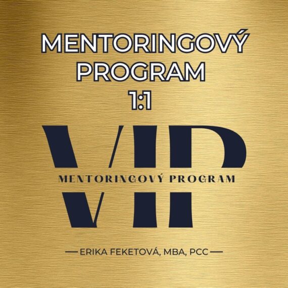 VIP Mentoringový program 1:1